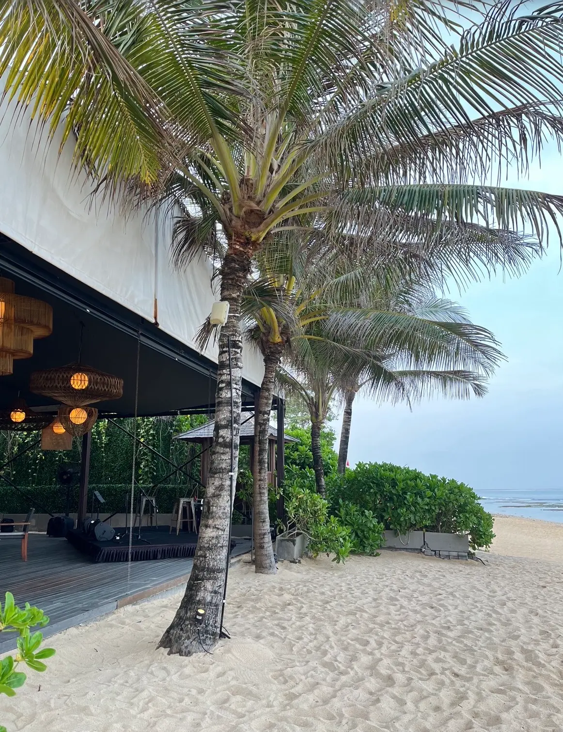 Beach club terrace under coconut palms