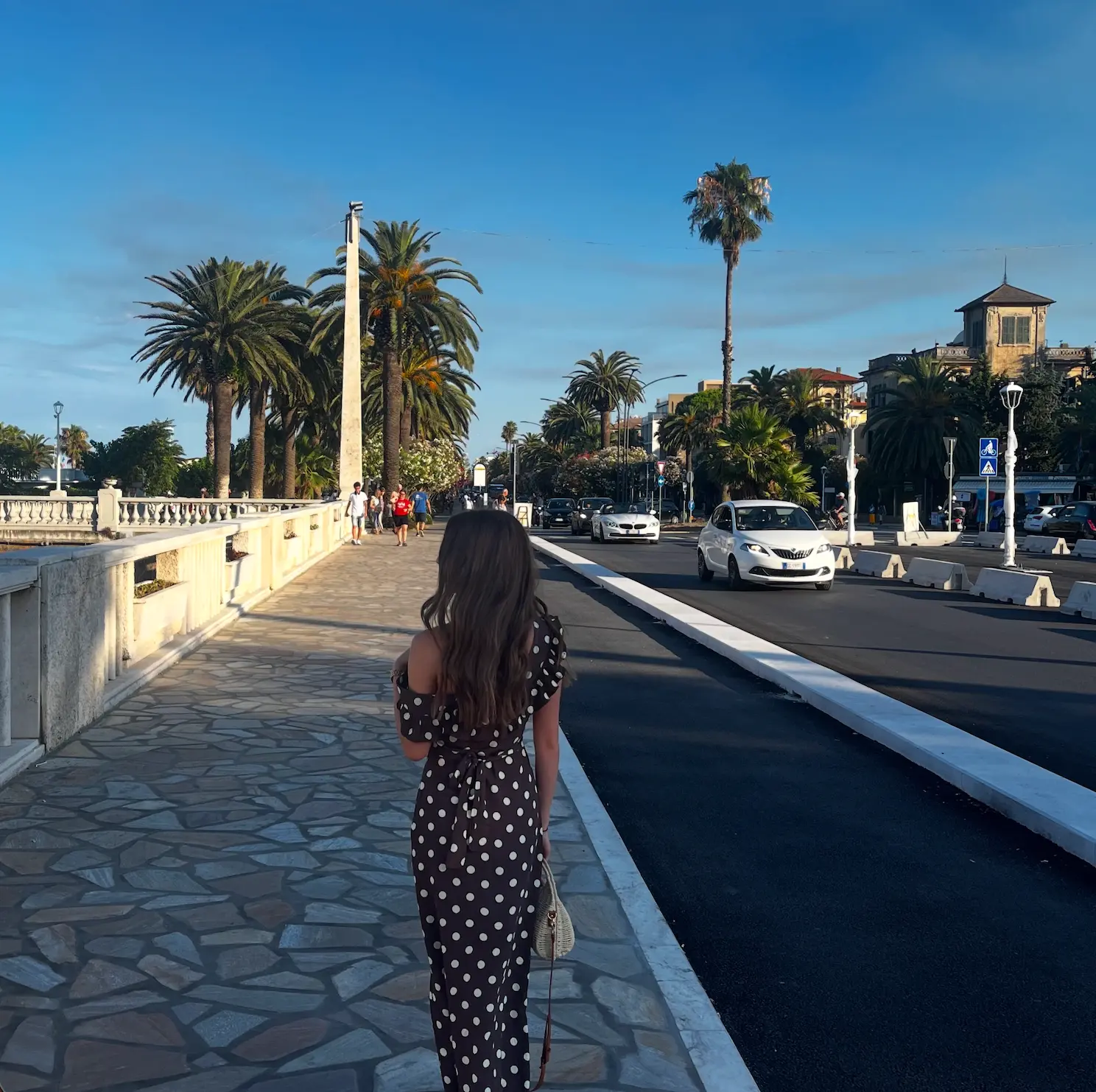 Palm-lined seaside promenade